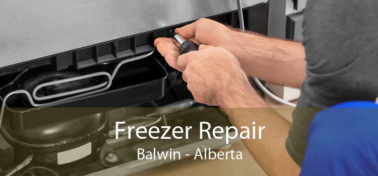 Freezer Repair Balwin - Alberta