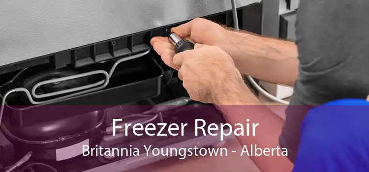 Freezer Repair Britannia Youngstown - Alberta