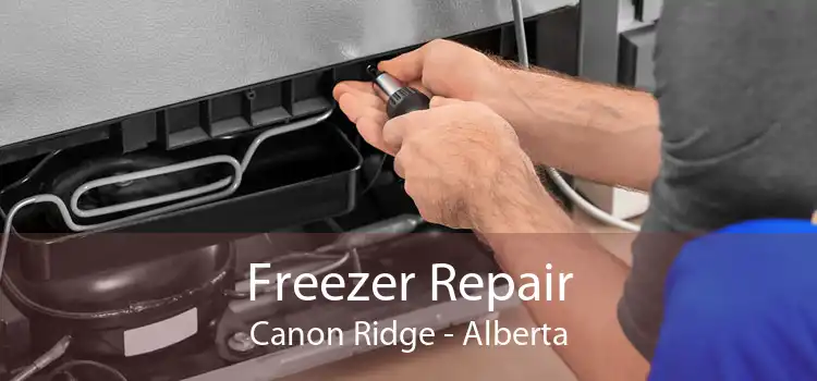 Freezer Repair Canon Ridge - Alberta