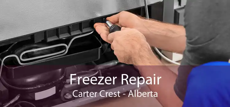 Freezer Repair Carter Crest - Alberta