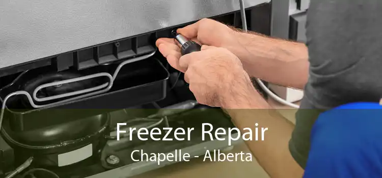 Freezer Repair Chapelle - Alberta