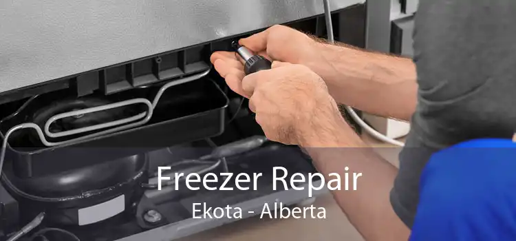 Freezer Repair Ekota - Alberta
