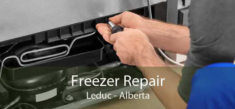 Freezer Repair Leduc - Alberta