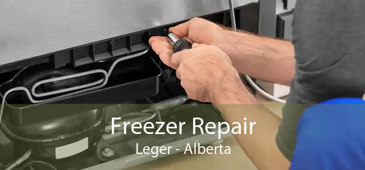 Freezer Repair Leger - Alberta