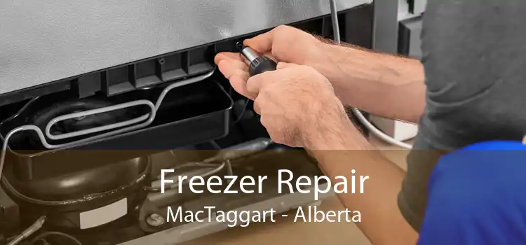 Freezer Repair MacTaggart - Alberta