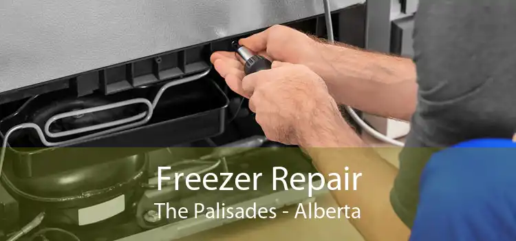 Freezer Repair The Palisades - Alberta