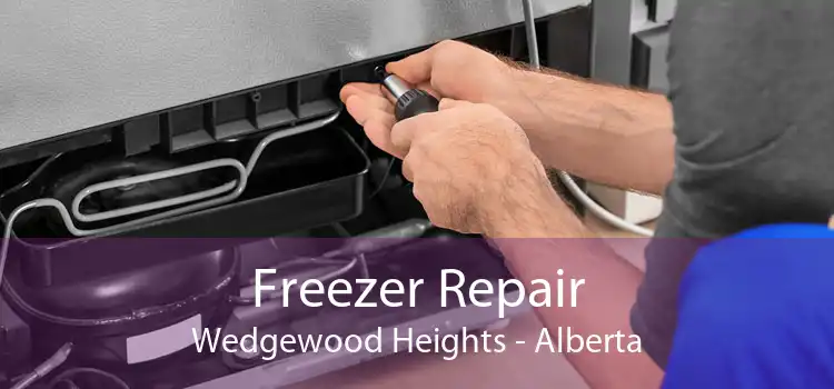 Freezer Repair Wedgewood Heights - Alberta