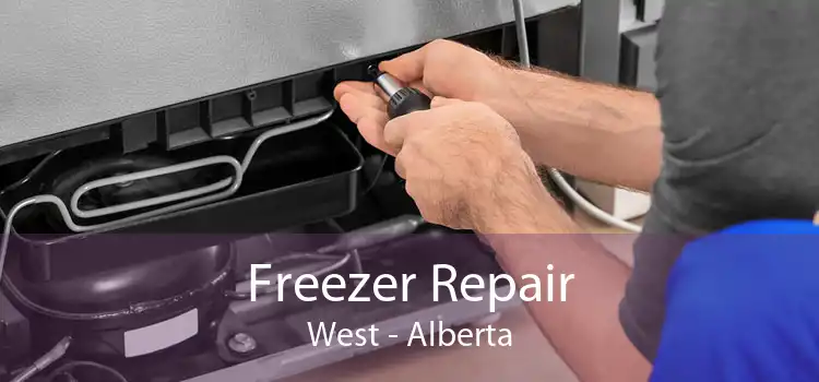 Freezer Repair West - Alberta