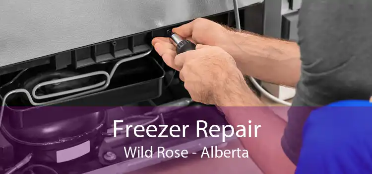 Freezer Repair Wild Rose - Alberta