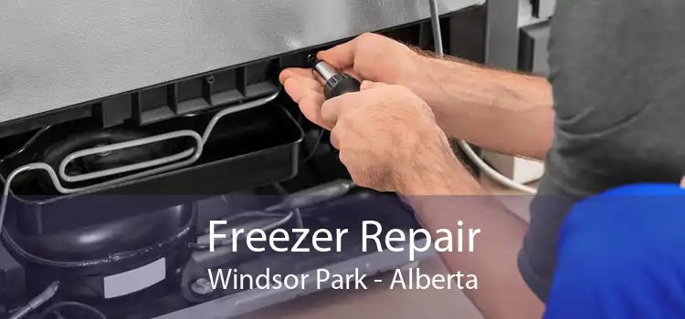 Freezer Repair Windsor Park - Alberta