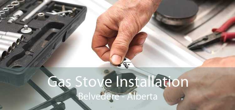 Gas Stove Installation Belvedere - Alberta