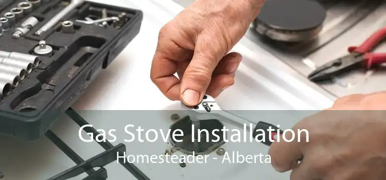 Gas Stove Installation Homesteader - Alberta