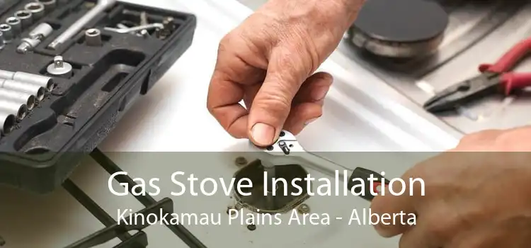 Gas Stove Installation Kinokamau Plains Area - Alberta