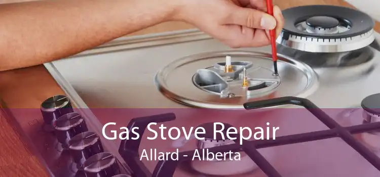 Gas Stove Repair Allard - Alberta