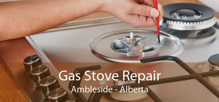 Gas Stove Repair Ambleside - Alberta