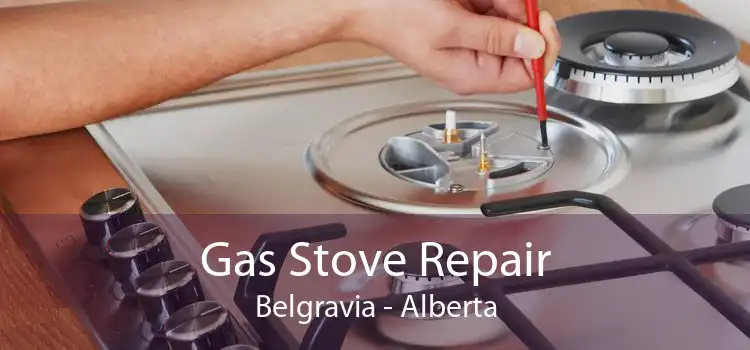 Gas Stove Repair Belgravia - Alberta