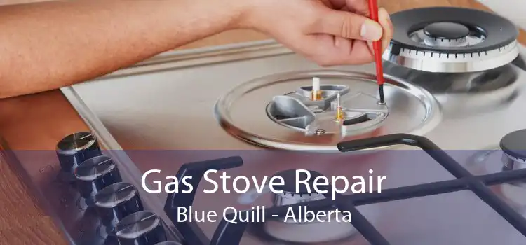Gas Stove Repair Blue Quill - Alberta