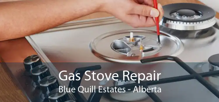 Gas Stove Repair Blue Quill Estates - Alberta