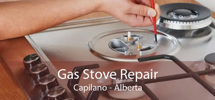 Gas Stove Repair Capilano - Alberta