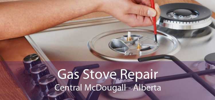 Gas Stove Repair Central McDougall - Alberta