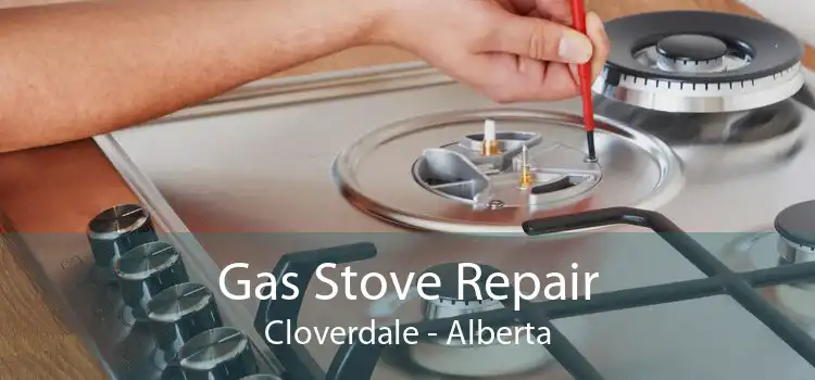 Gas Stove Repair Cloverdale - Alberta