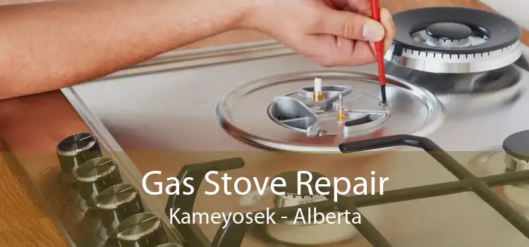 Gas Stove Repair Kameyosek - Alberta