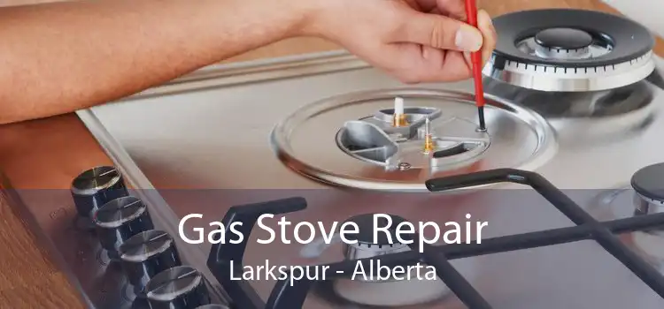 Gas Stove Repair Larkspur - Alberta