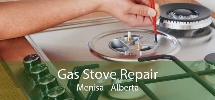 Gas Stove Repair Menisa - Alberta