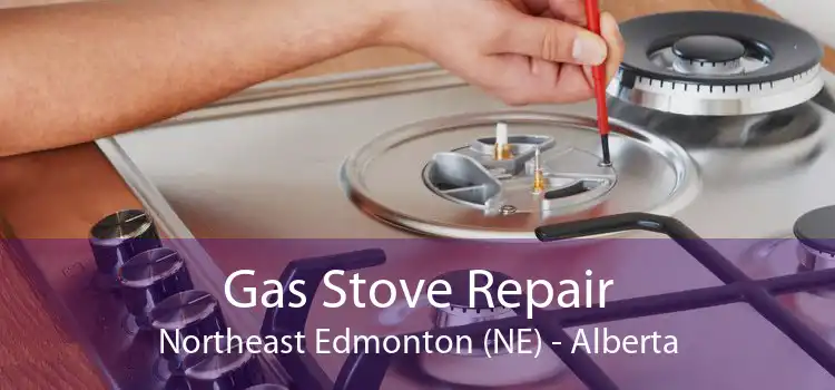 Gas Stove Repair Northeast Edmonton (NE) - Alberta