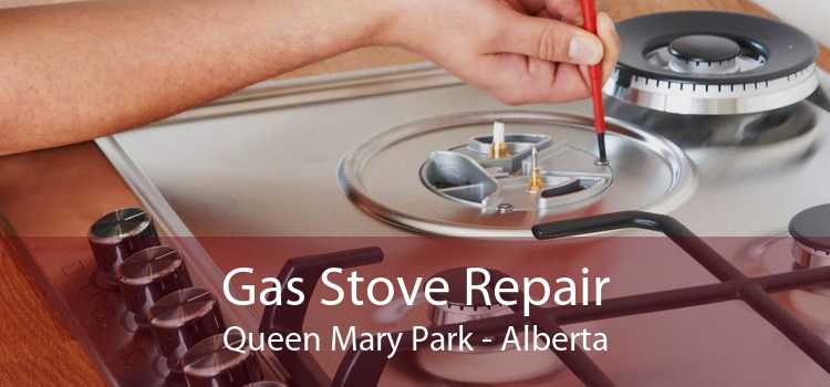 Gas Stove Repair Queen Mary Park - Alberta