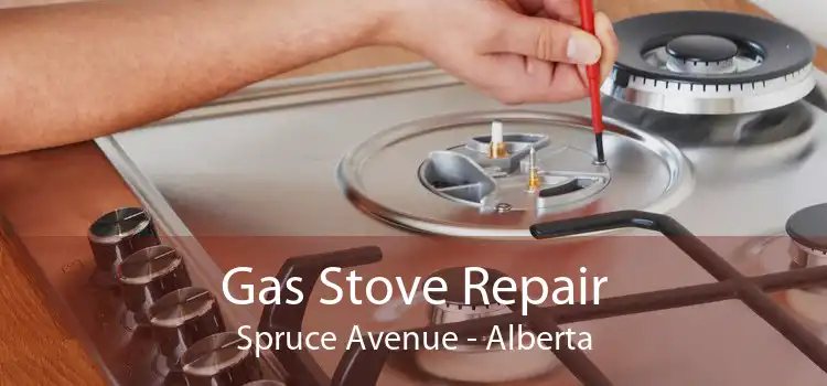 Gas Stove Repair Spruce Avenue - Alberta