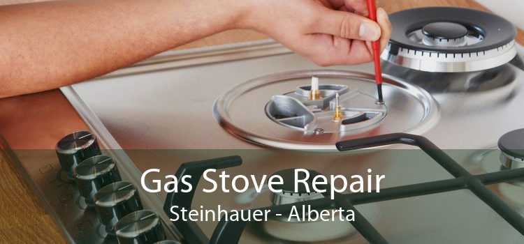 Gas Stove Repair Steinhauer - Alberta