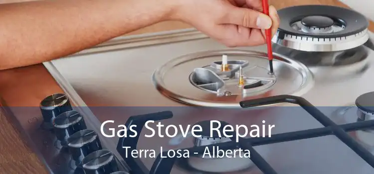 Gas Stove Repair Terra Losa - Alberta