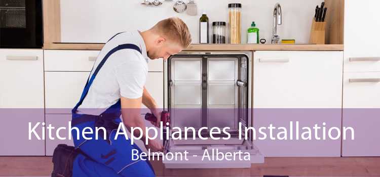 Kitchen Appliances Installation Belmont - Alberta