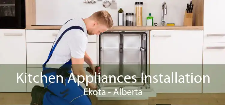 Kitchen Appliances Installation Ekota - Alberta
