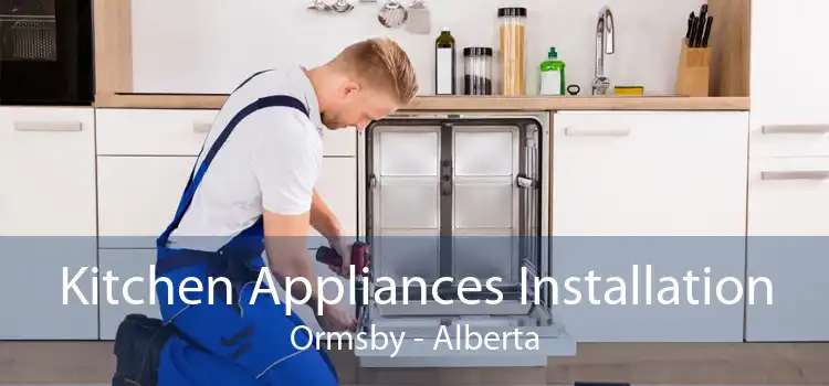 Kitchen Appliances Installation Ormsby - Alberta