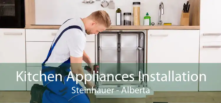 Kitchen Appliances Installation Steinhauer - Alberta