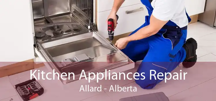 Kitchen Appliances Repair Allard - Alberta