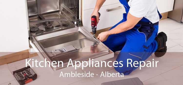 Kitchen Appliances Repair Ambleside - Alberta