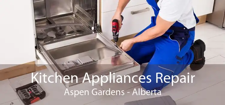 Kitchen Appliances Repair Aspen Gardens - Alberta
