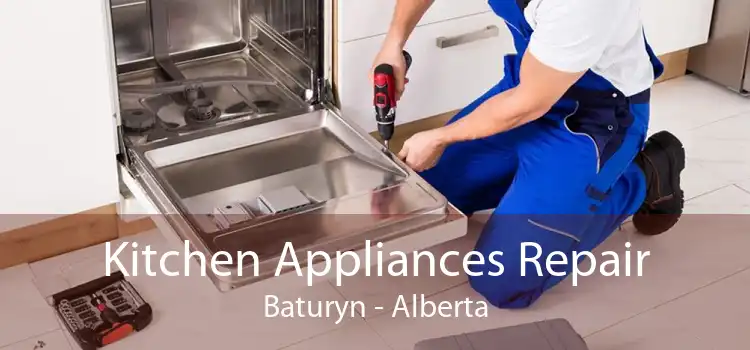 Kitchen Appliances Repair Baturyn - Alberta