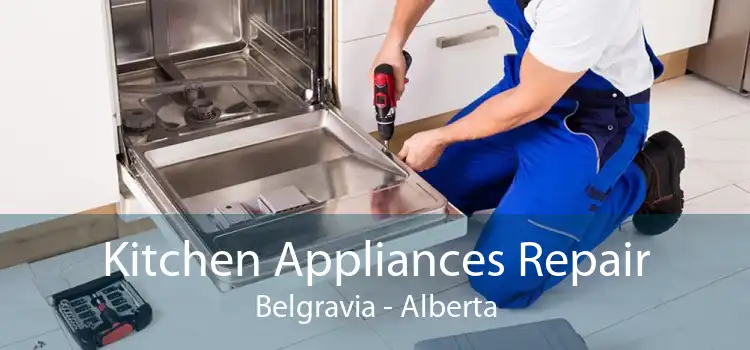 Kitchen Appliances Repair Belgravia - Alberta