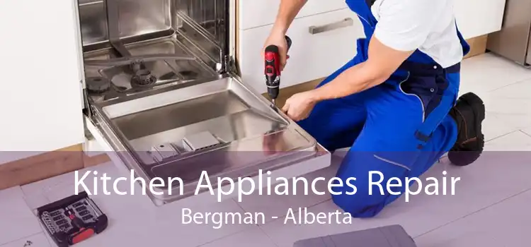 Kitchen Appliances Repair Bergman - Alberta