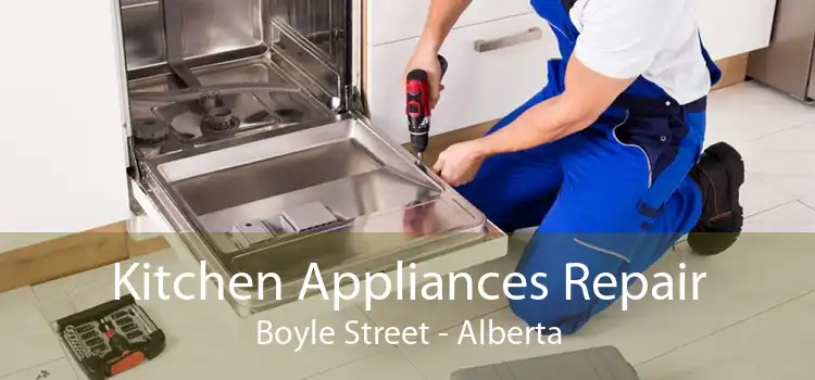 Kitchen Appliances Repair Boyle Street - Alberta
