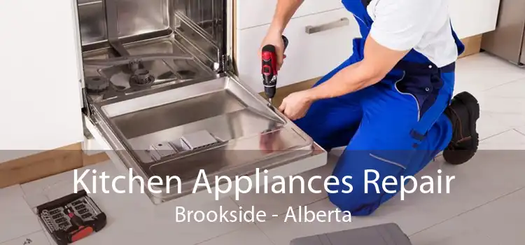 Kitchen Appliances Repair Brookside - Alberta