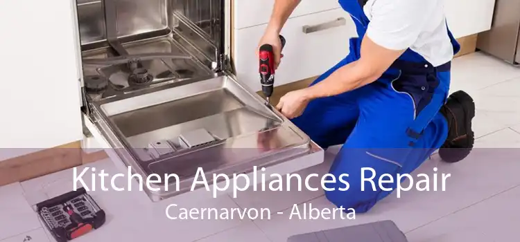 Kitchen Appliances Repair Caernarvon - Alberta
