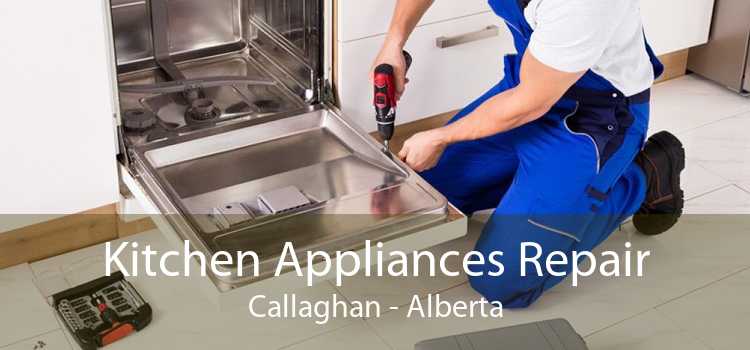 Kitchen Appliances Repair Callaghan - Alberta