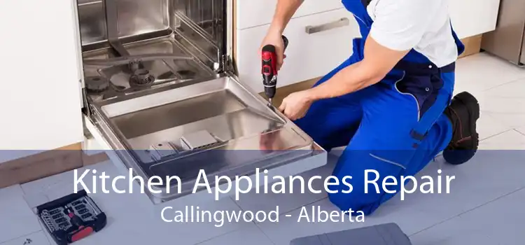 Kitchen Appliances Repair Callingwood - Alberta