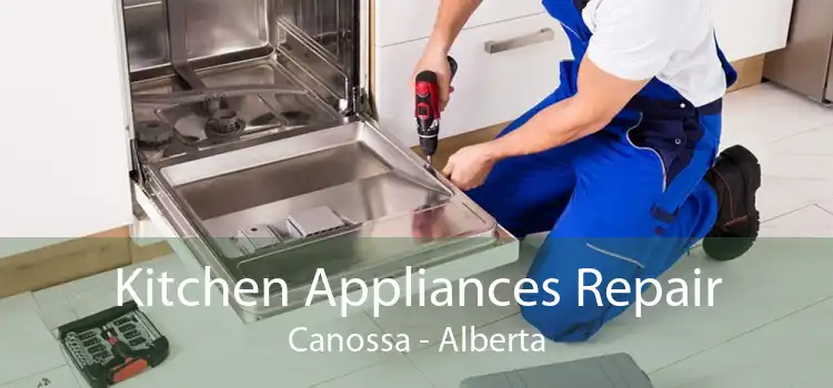 Kitchen Appliances Repair Canossa - Alberta