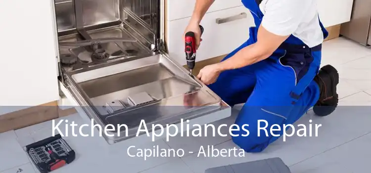 Kitchen Appliances Repair Capilano - Alberta